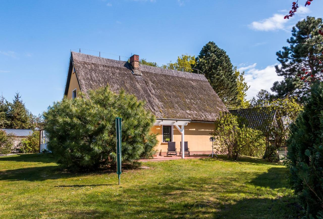 Darsser Koje Wieck Exteriér fotografie
