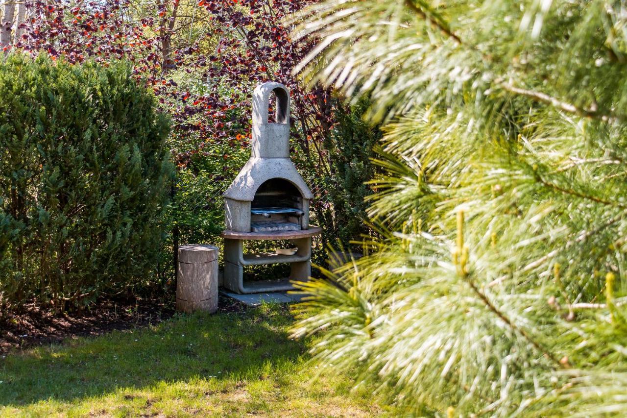 Darsser Koje Wieck Exteriér fotografie