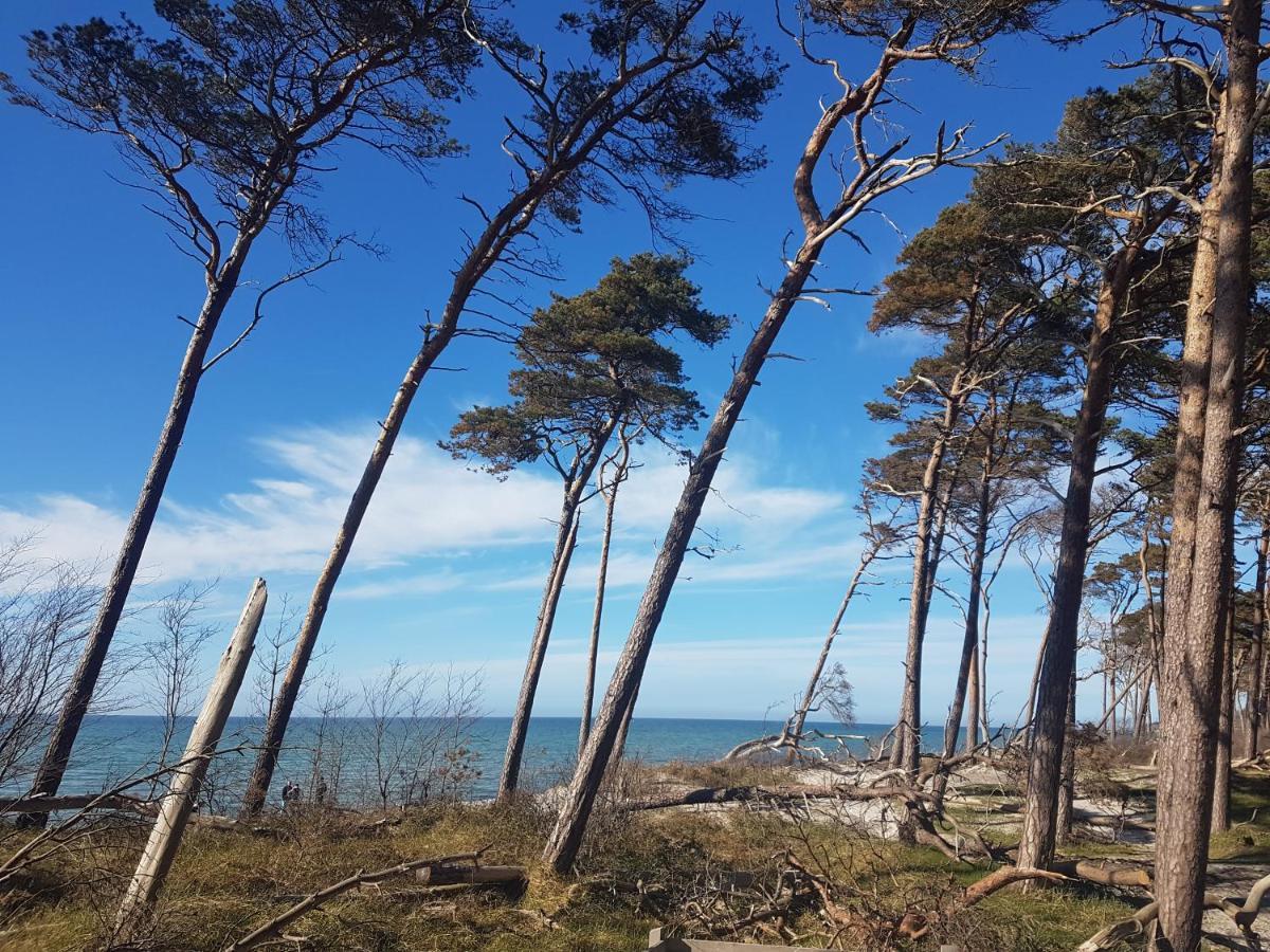 Darsser Koje Wieck Exteriér fotografie