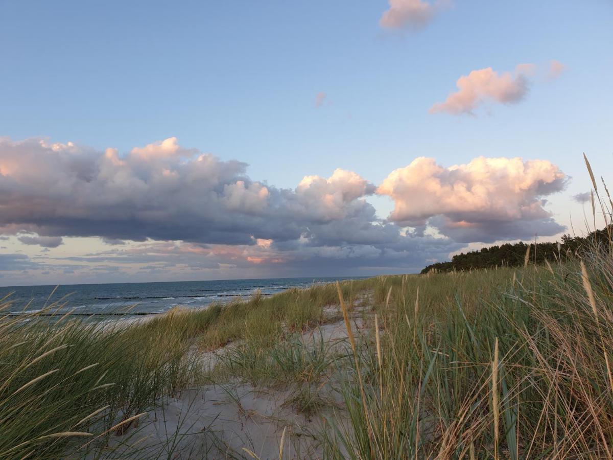 Darsser Koje Wieck Exteriér fotografie